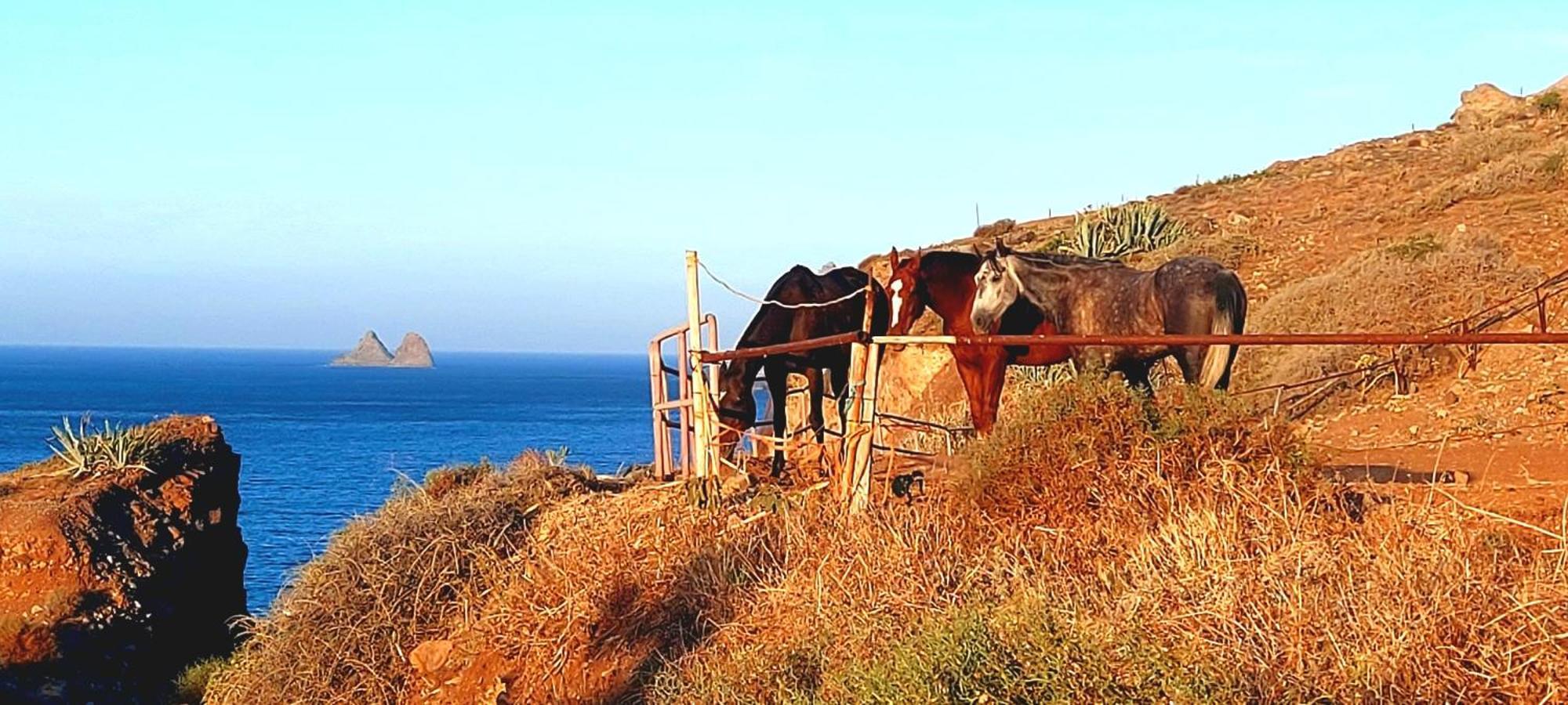 Casa Tucho Paraiso Sea Sound Santa Cruz de Tenerife Dış mekan fotoğraf
